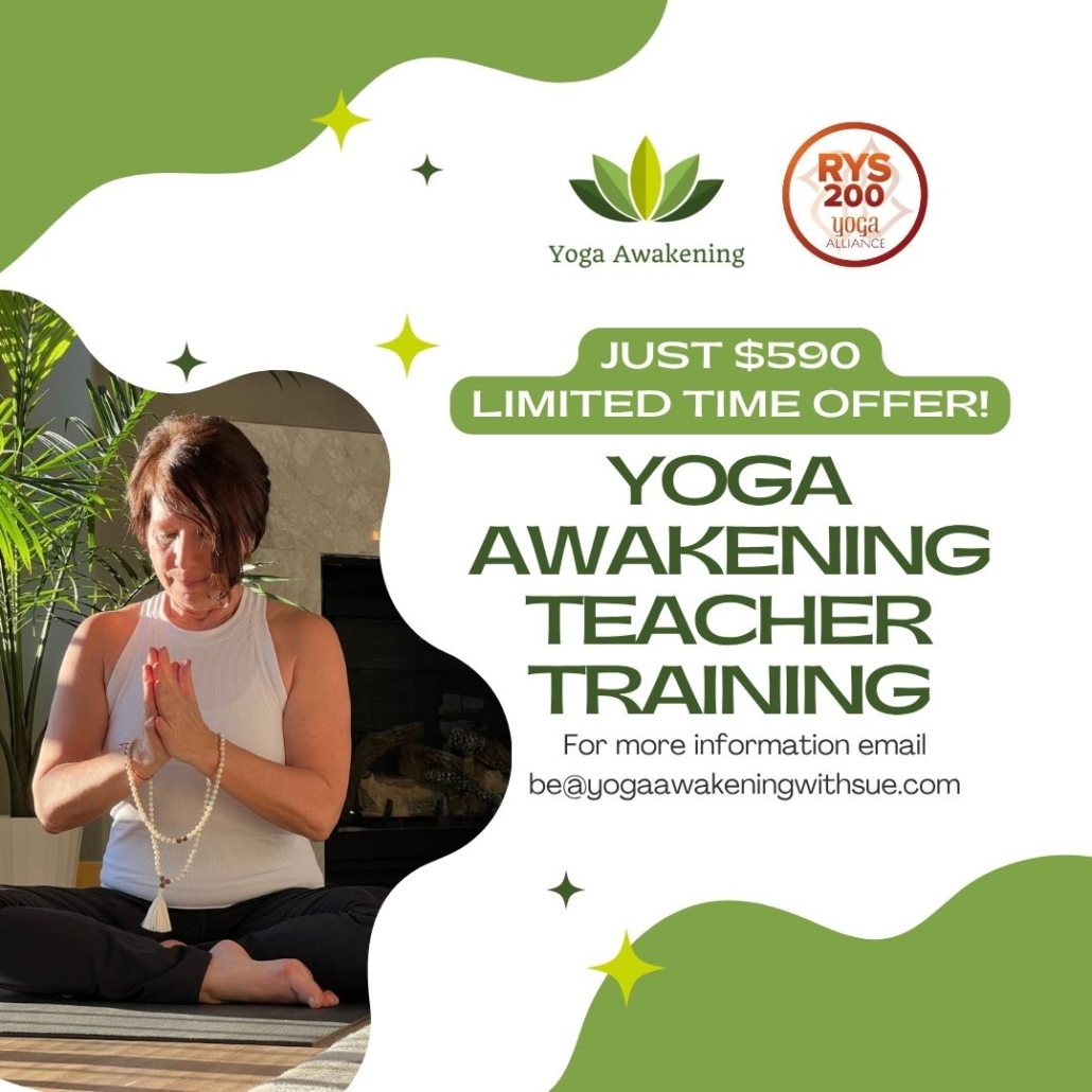 teacher training promo price